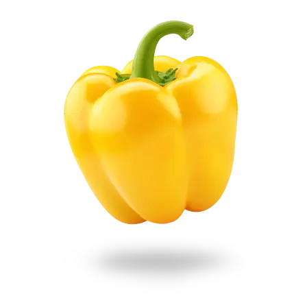 yellow paprika